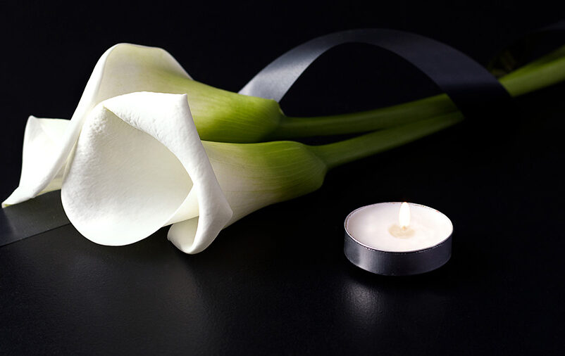 Uma flor branca num fundo preto representa as facilidades funerárias em tempo de pandemia